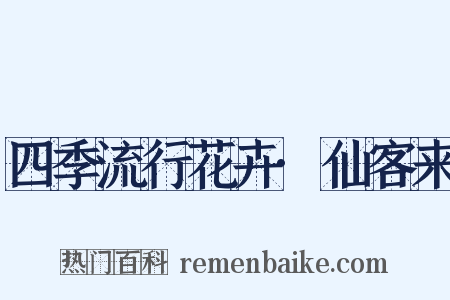 四季流行花卉·仙客来是什么意思的图片